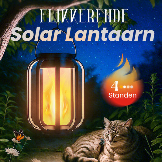 ✨️50% korting✨️Zonnelantaarn voor buiten met 4 verlichtingsstanden-🛒 Koop 2 krijg gratis verzending - tijdelijk!