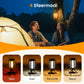 ✨️50% korting✨️Zonnelantaarn voor buiten met 4 verlichtingsstanden-🛒 Koop 2 krijg gratis verzending - tijdelijk!