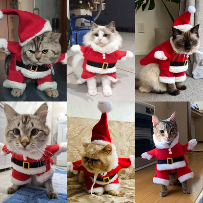 🎄Kerstkortingen🎄Herfst- en winterkleding voor katten en honden