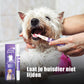 🐶Mondherstelgel voor Huisdieren