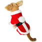 🎄Kerstkortingen🎄Herfst- en winterkleding voor katten en honden