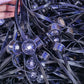 Perfecte decoratie Slimme RGB-buitenverlichtingssnaren
