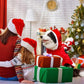 Kerstman Rijdend Hondenkostuum voor Kerstmis