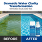 💧 Zwembadreiniger – Kristalhelder water, nul gedoe! ✨ Zeg vaarwel tegen groen water en agressieve chemicaliën – gewoon puur, fris zwemplezier elke keer. 🏊‍♂️💙