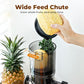 🔥Tijdelijke aanbieding: 50% korting⏰✨ Slowjuicer met brede opening voor hele vruchten