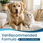 🐕🎁 ¡Novedad con 50% DE DESCUENTO!🔥 Limpiador de oídos anti picazón para perros y gatos