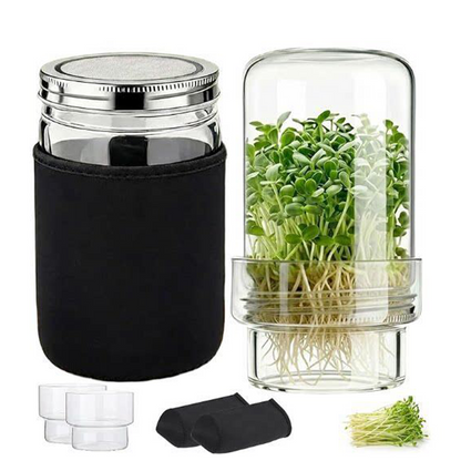 🌱 Kit de germinación en frasco de vidrio con funda opaca – cultiva brotes frescos en casa | Saludable, fácil y listo en pocos días